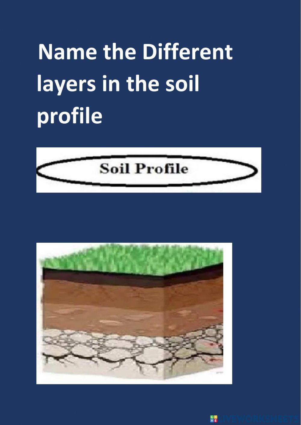 Layers of soil