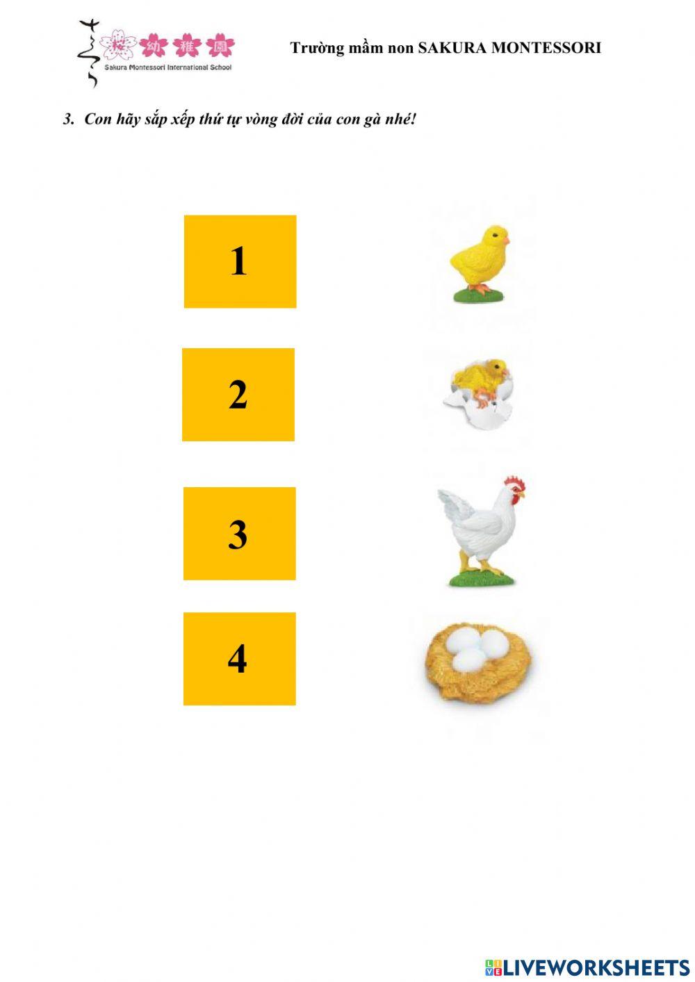 IQ Test Tuần 1 (Bài 2)