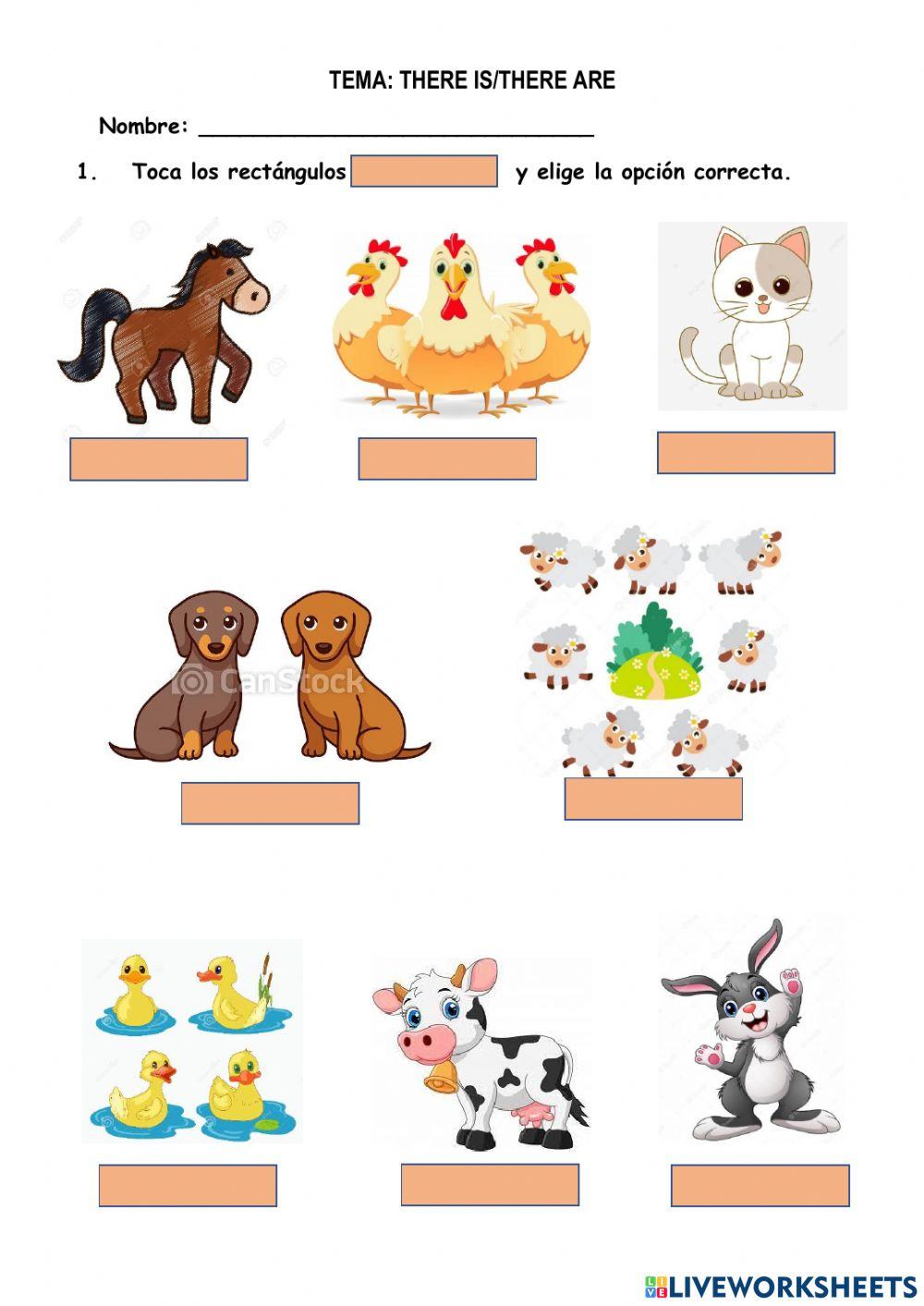 There is and there are