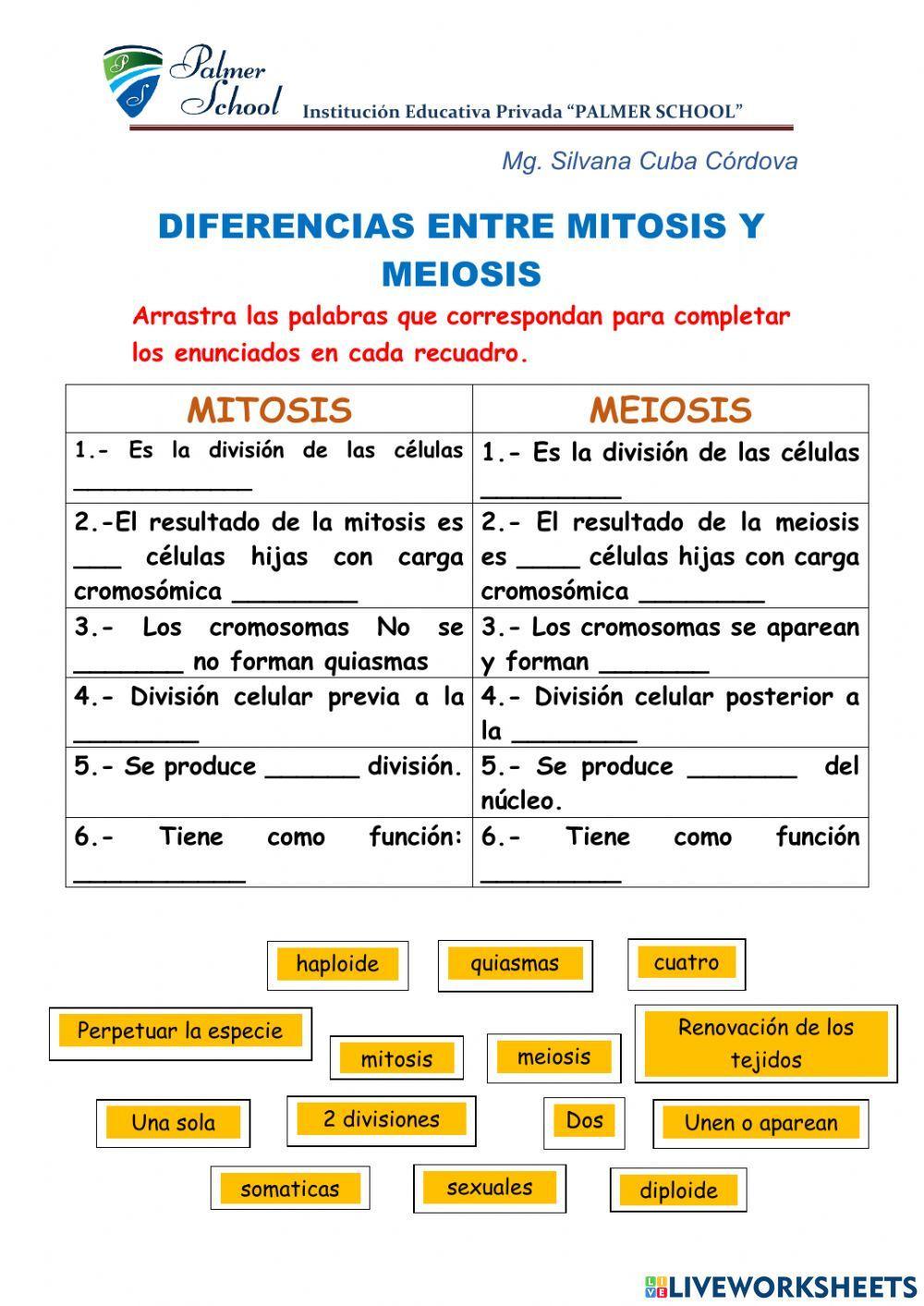 Diferencias entre mitosis y meiosis