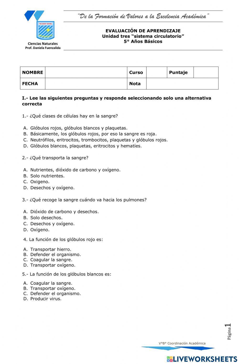 Evaluación sistema circulatorio
