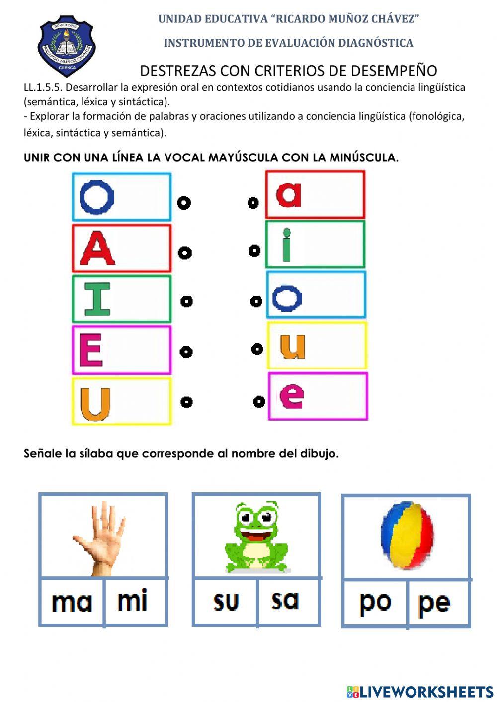 Diagnóstico lengua y liiteratura