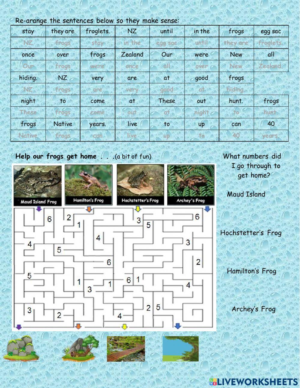 NZ Frogs - Assessment