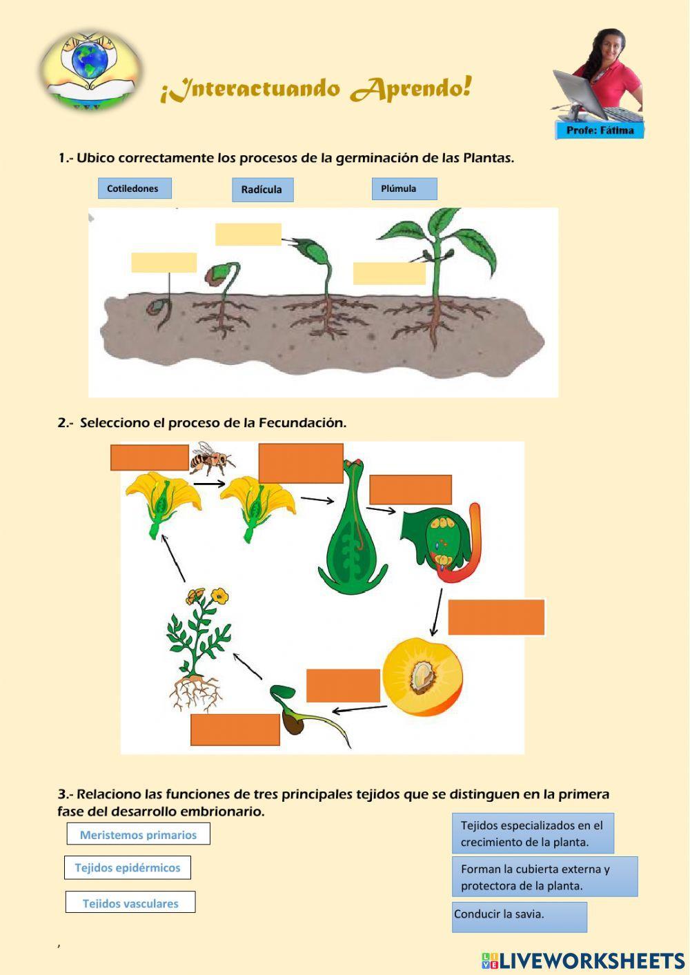 Interactuando Aprendo
