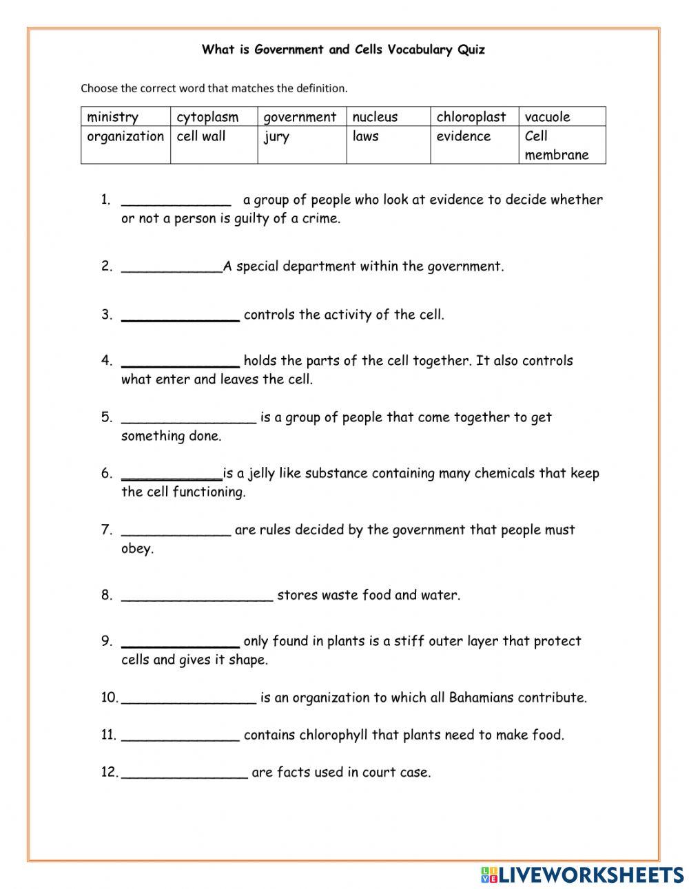 Cell and What is Government Vocabulary Quiz