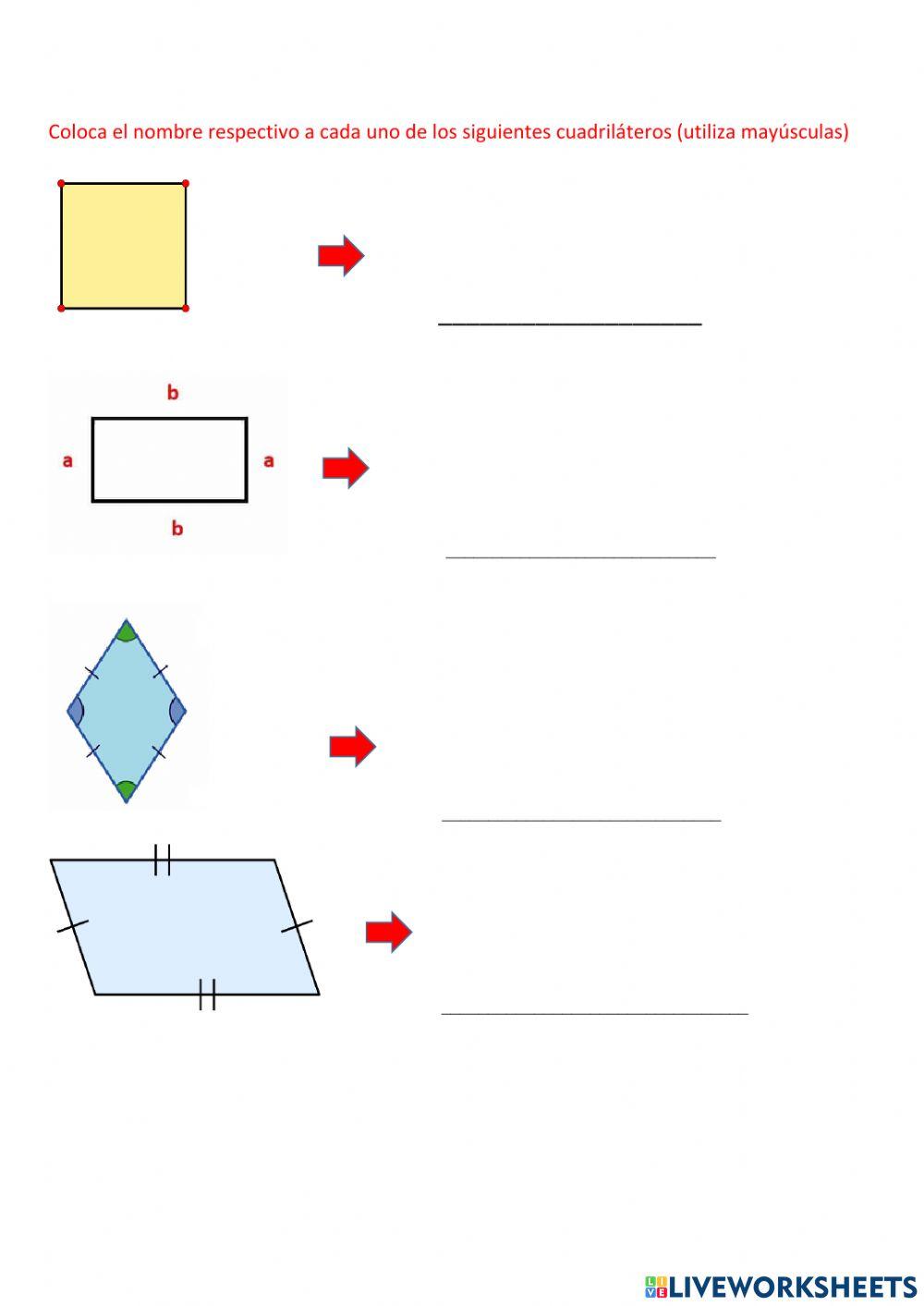 Triángulos y rectángulos