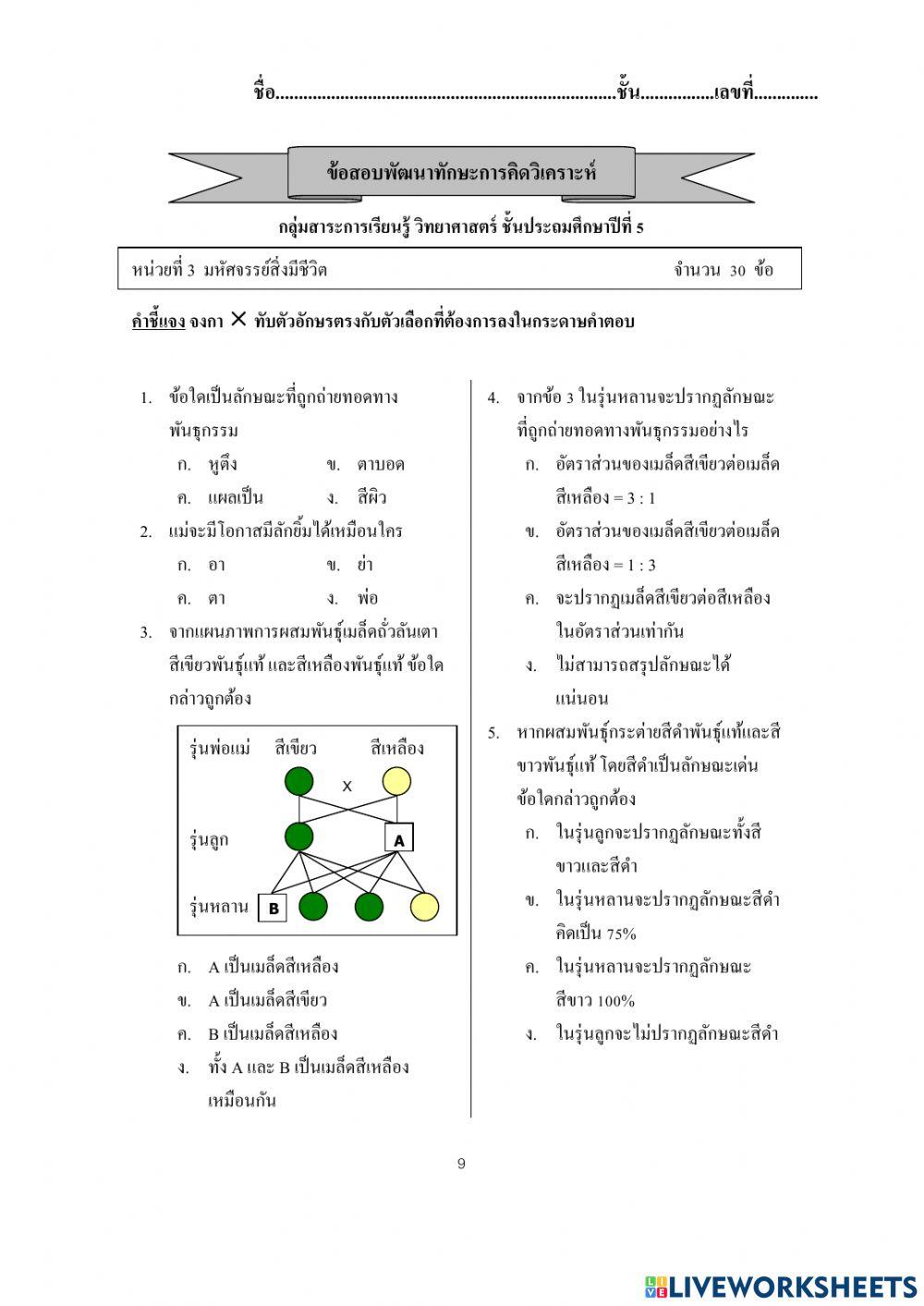ข้อสอบพัฒนาทักษะการคิดวิเคราะห์