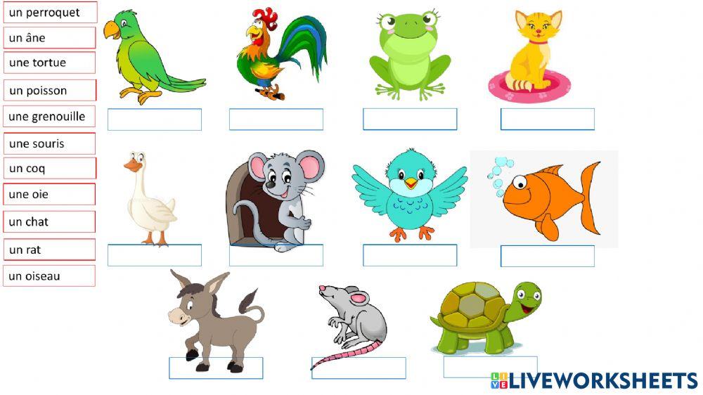 Les animaux de la ferme