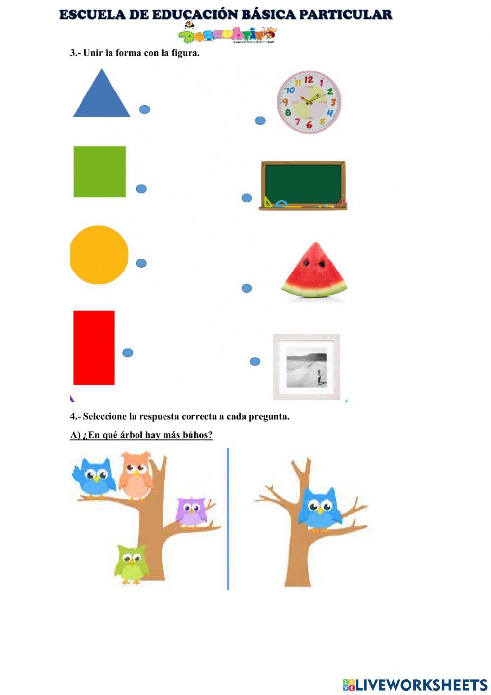 Diagnostico matematica