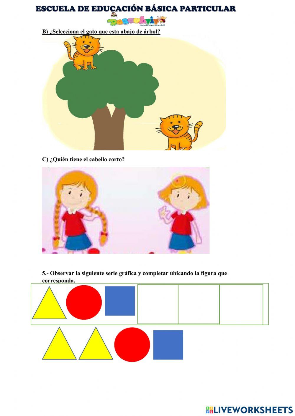 Diagnostico matematica