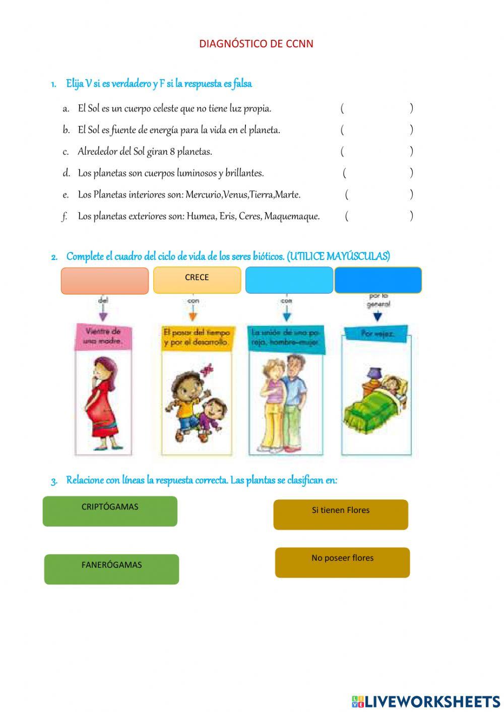 Diagnóstico ccnn 5to. egb