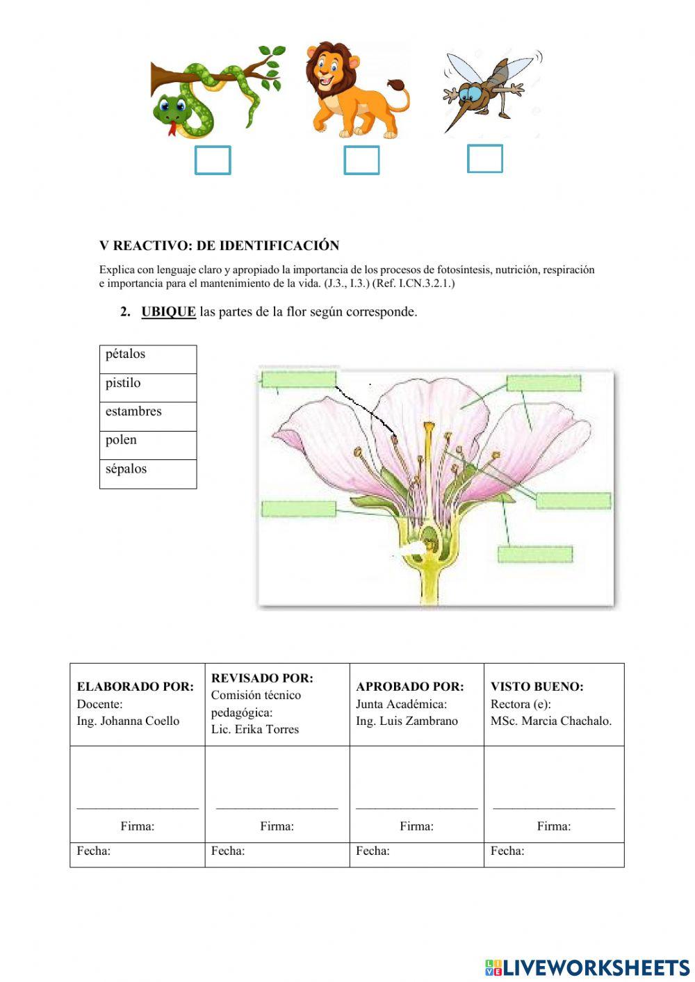 Evaluacion de Diagnostico Ciencias Naturales