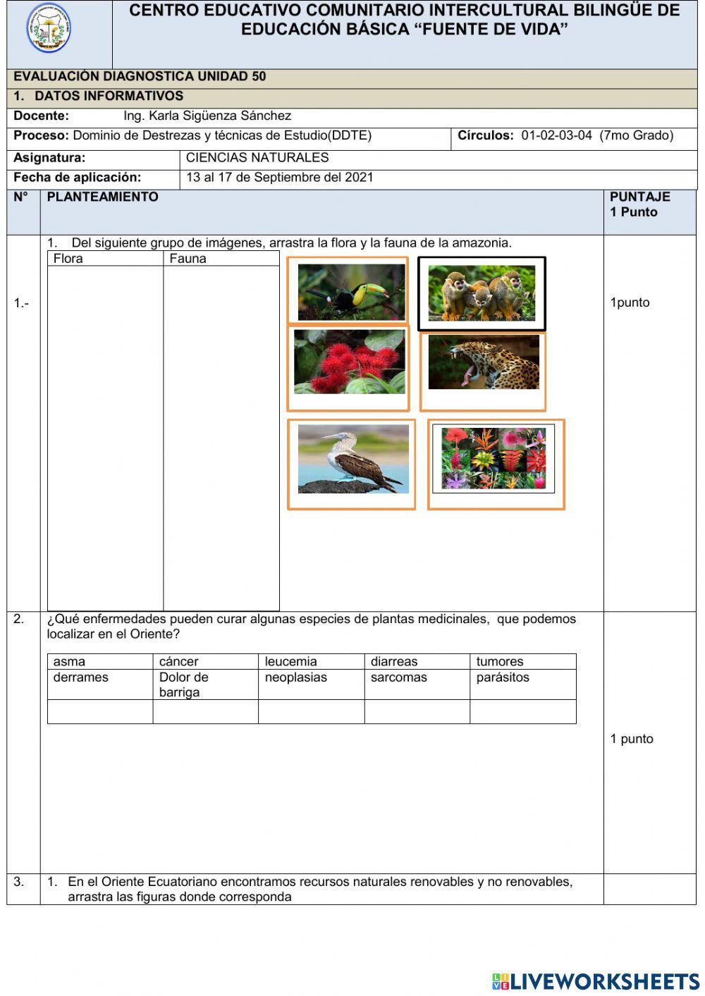 Evaluacion ciencias naturales