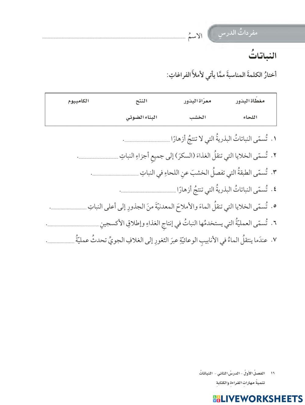 مفردات النباتات