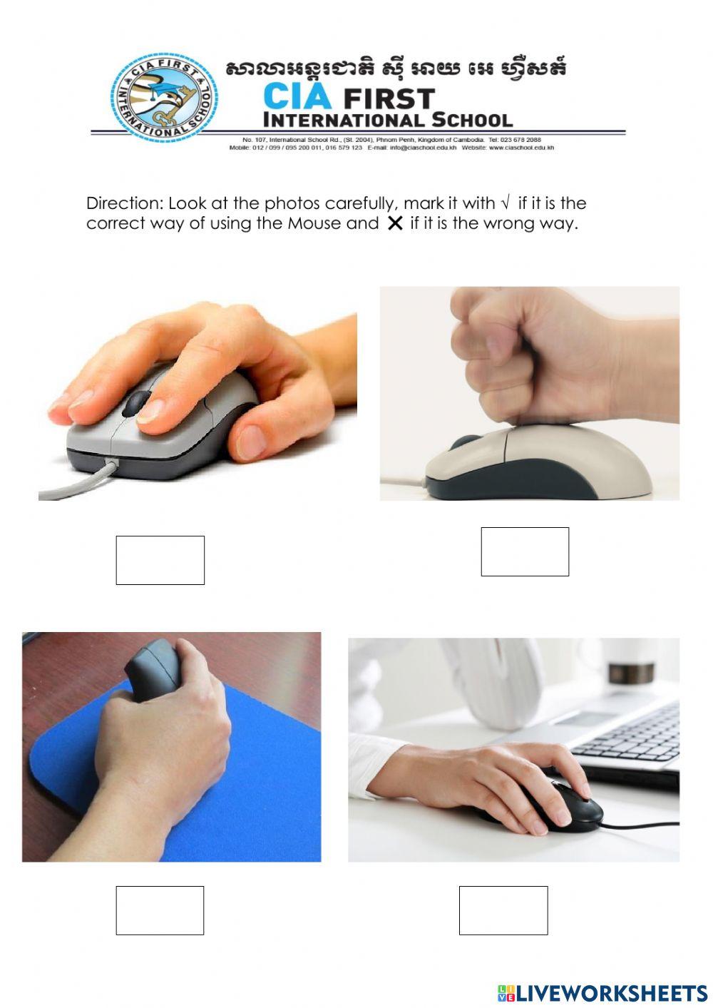 Parts of the Computer Mouse