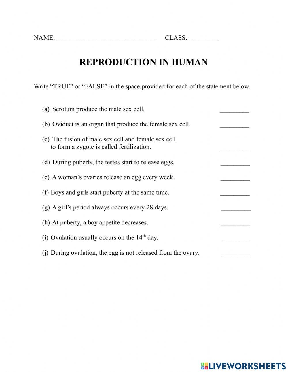 Recap: Reproduction in human