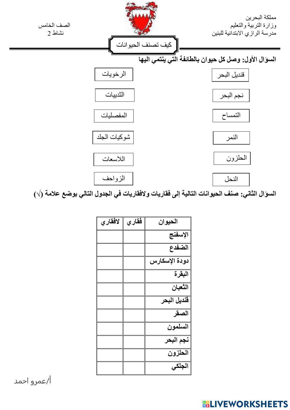 كيف تصنف الحيوانات