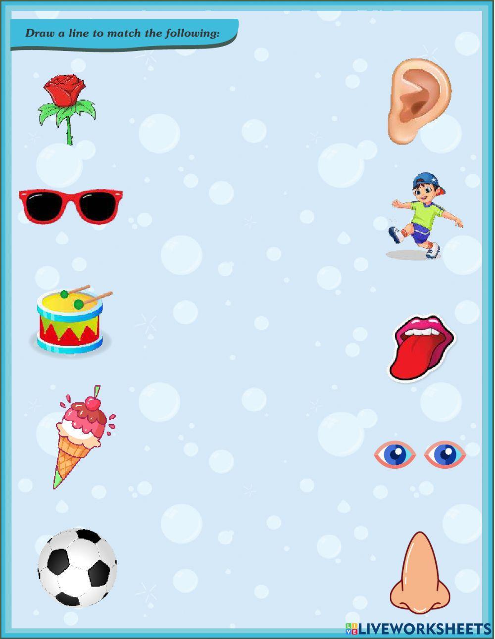 GK LKG CLASS QUESTION PAPER