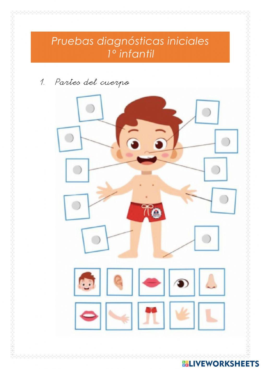 I1 prueba diagnostica NEAE