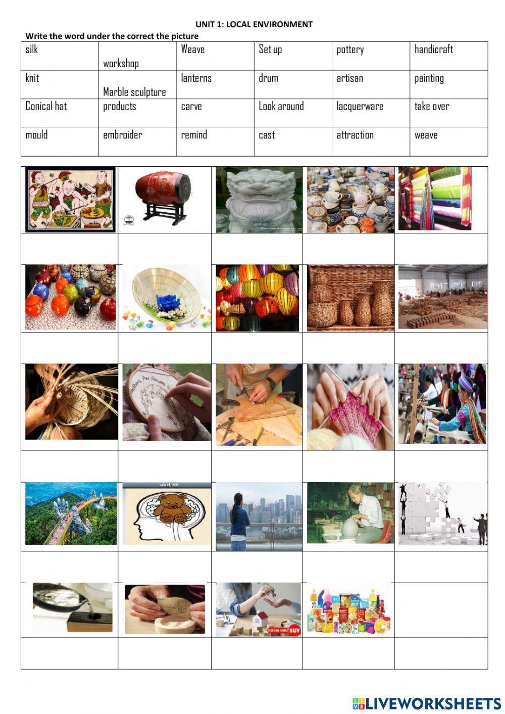 Grade 9 Unit 1 Local environment