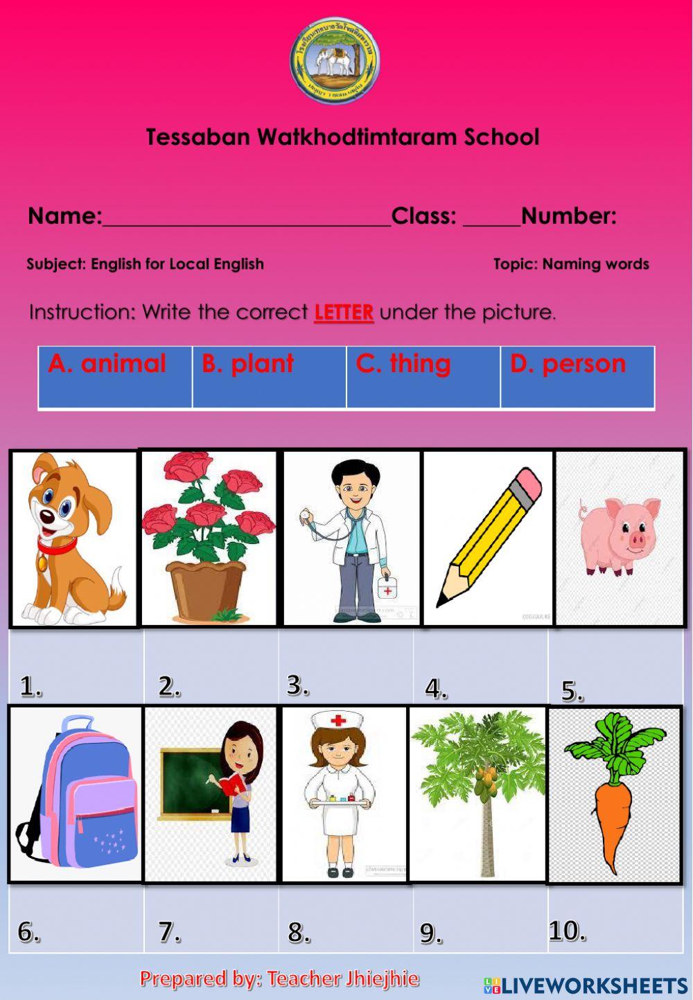 Naming Words Worksheet For Class 1 With Answers Ppt Pdf