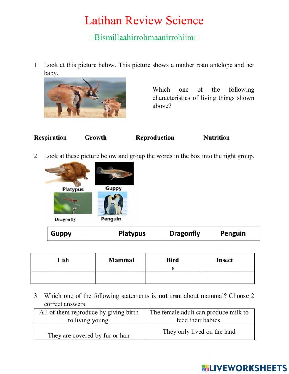 Exercise Review Science 2020-2021