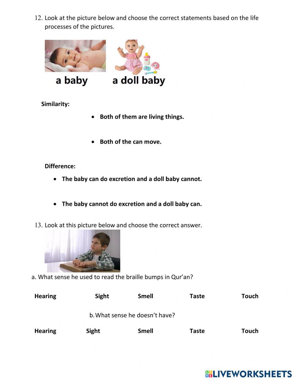 Exercise Review Science 2020-2021