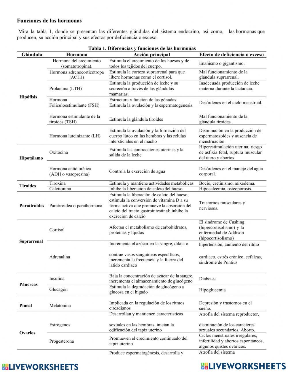 Glándulas y hormonas del sistema endocrino