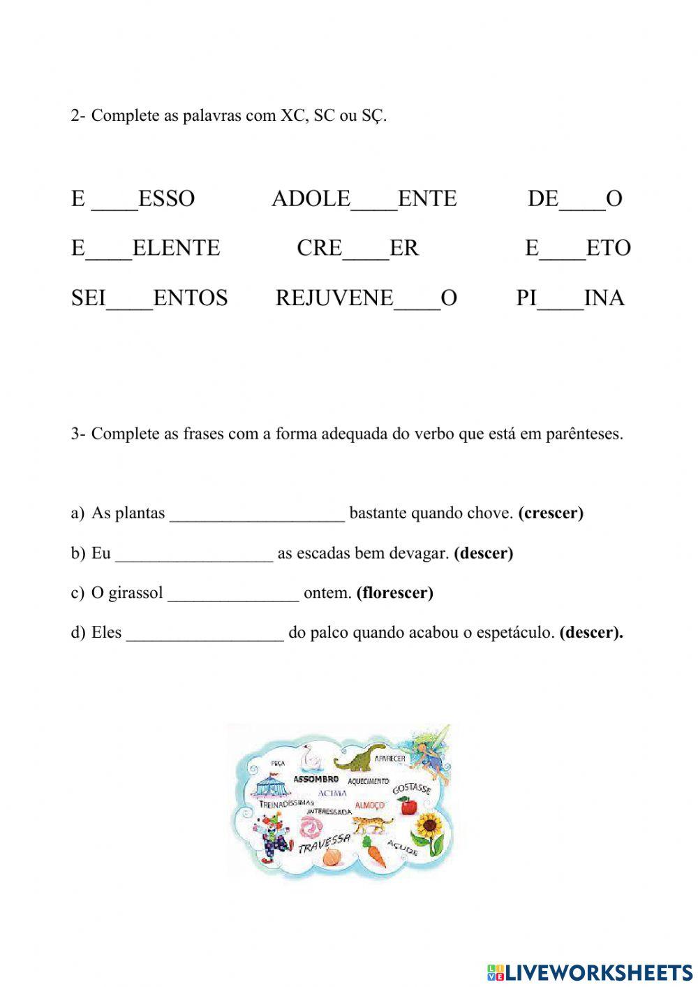 C, s, ss, sc, sç, xc