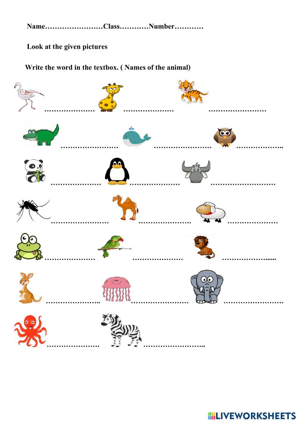 Animal pictures Dictation