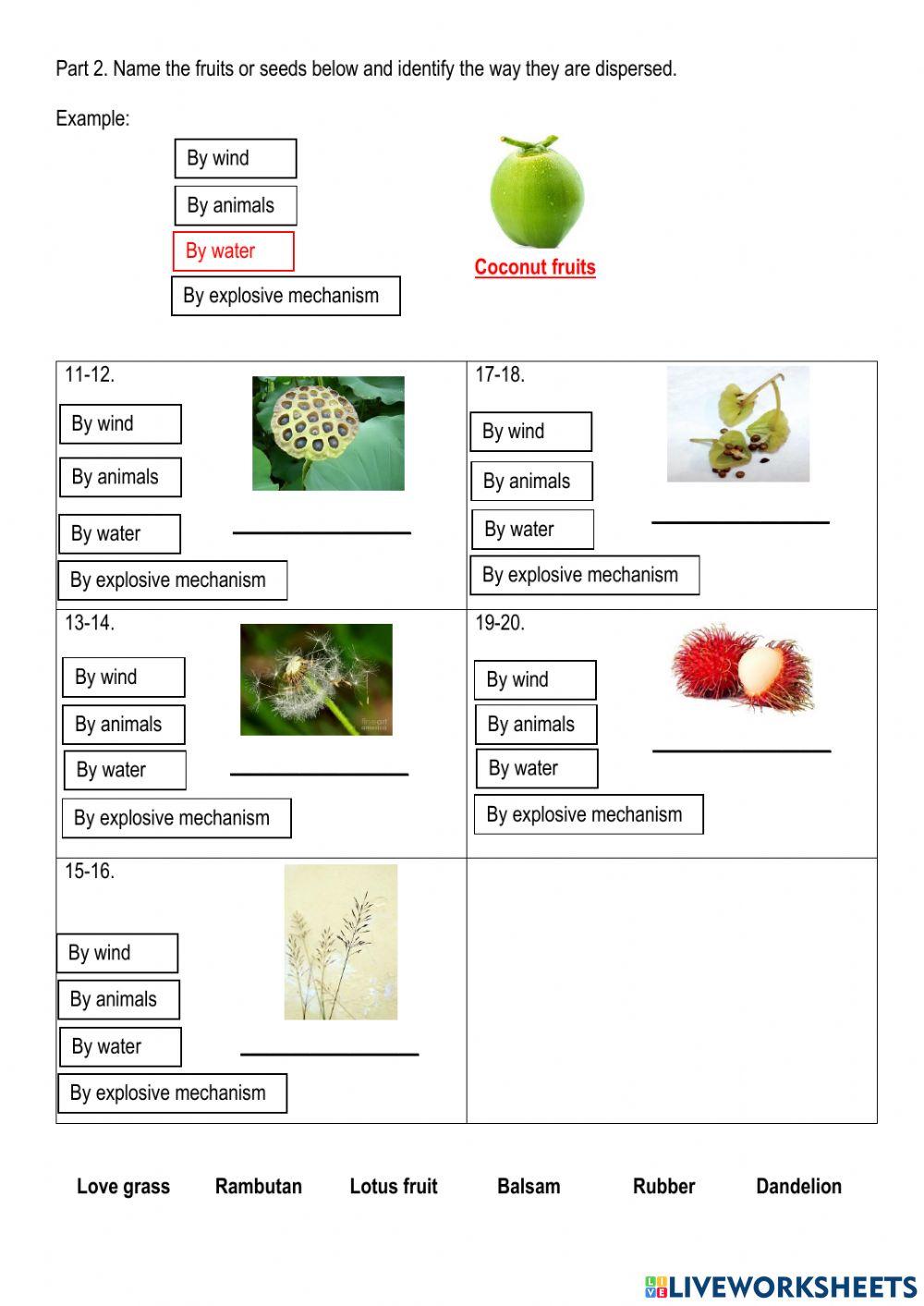 Fertilization and Seed Dispersal worksheet Live Worksheets