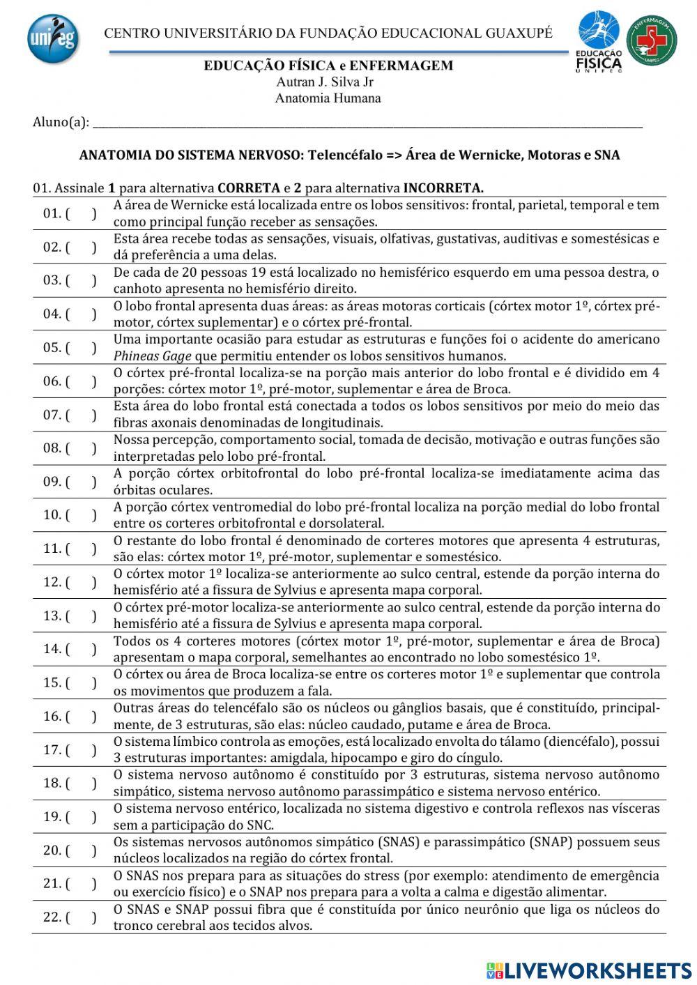 Neuroanatomia: Telencéfalo - Werncke, Córtex Motor e SNA