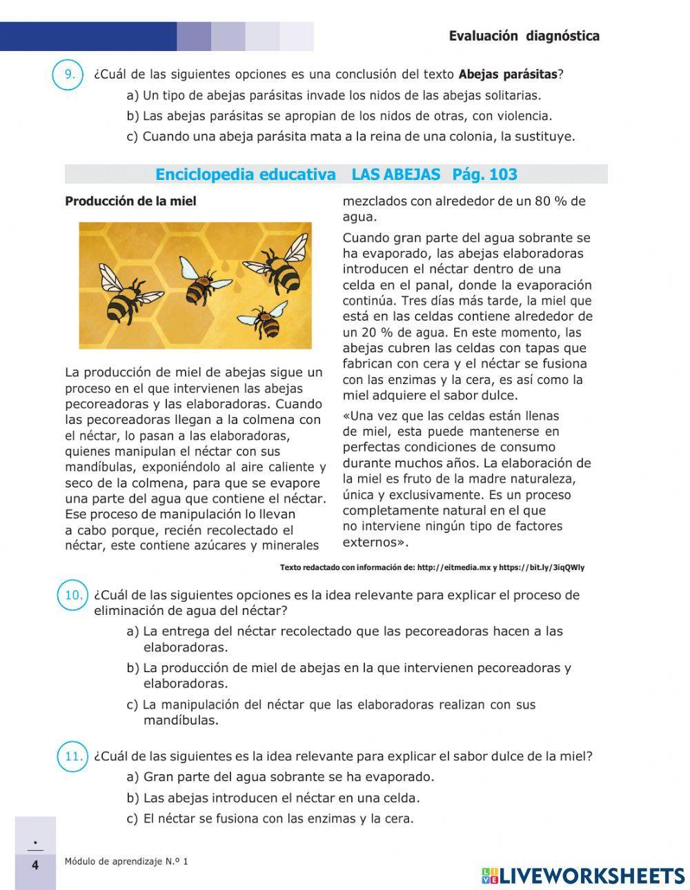Evaluación diagnostica tercero básico comunicación y lenguaje
