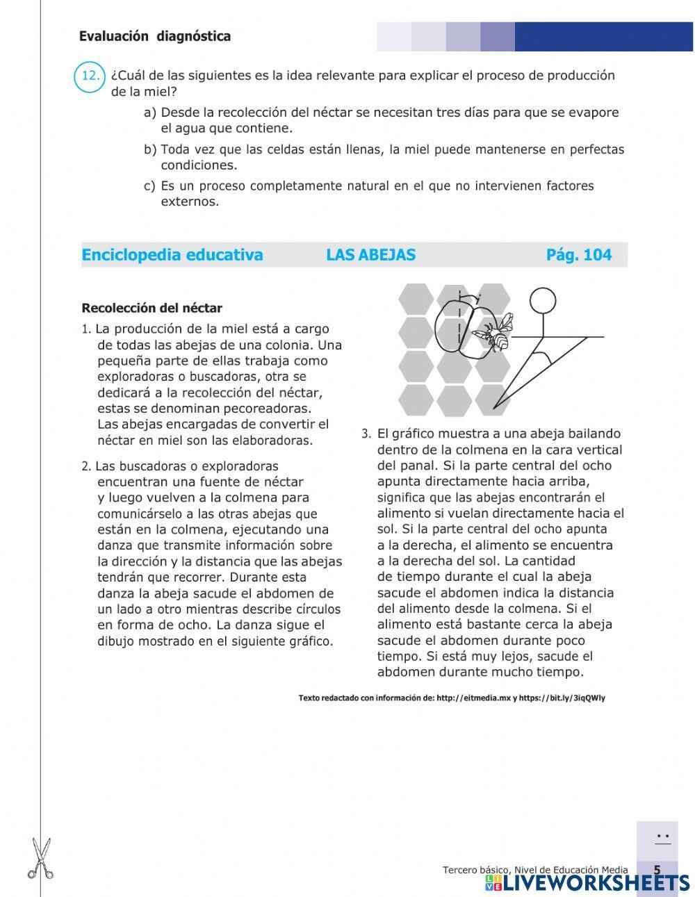Evaluación diagnostica tercero básico comunicación y lenguaje