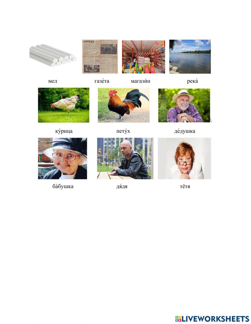 Род существительного