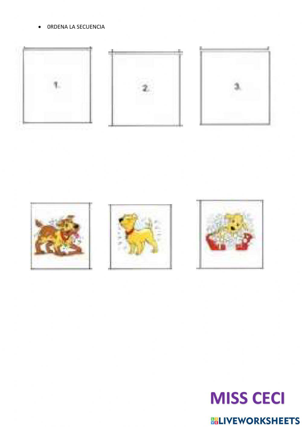 Comprobando mis saberes