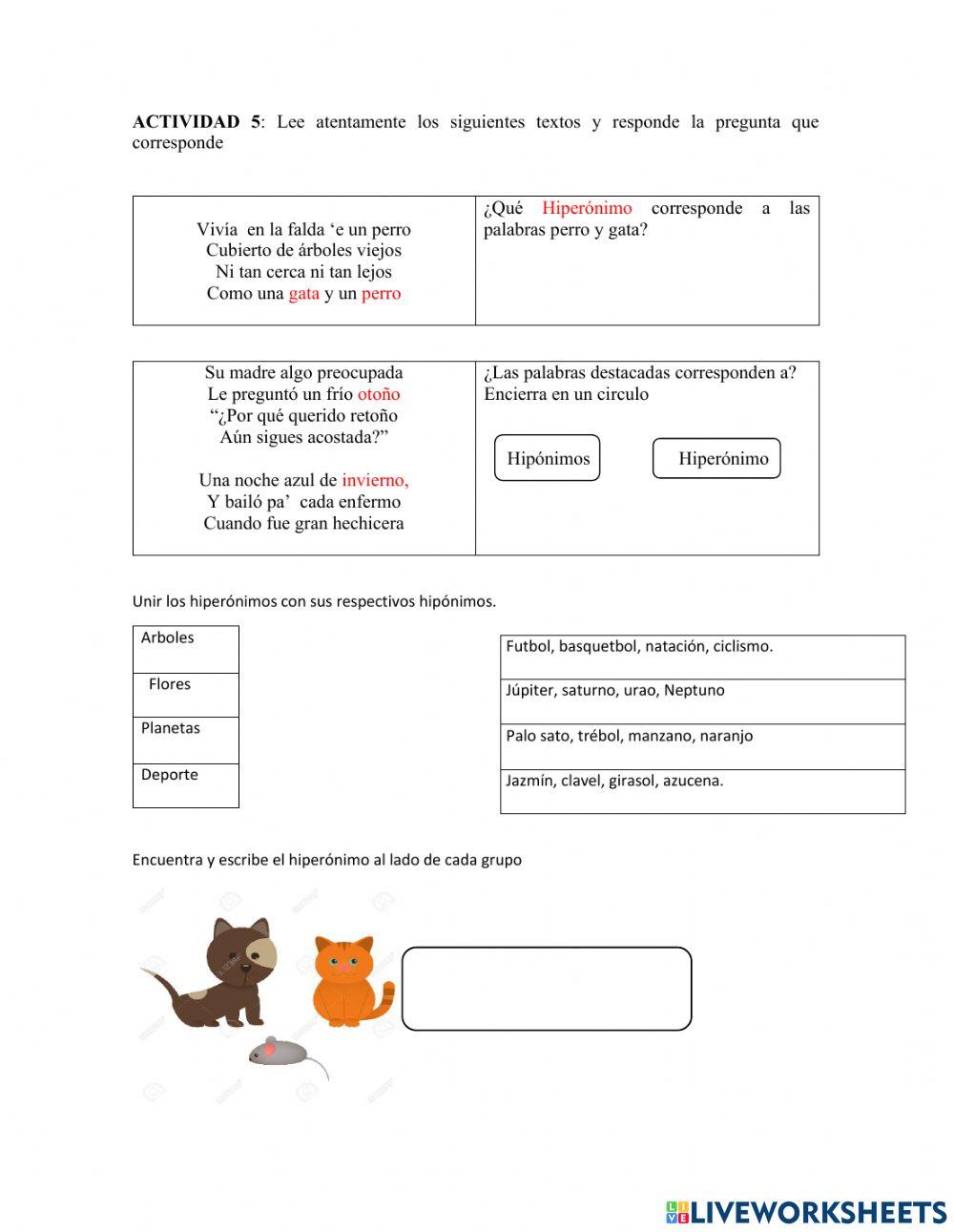 Hipónimos e hiperónimos