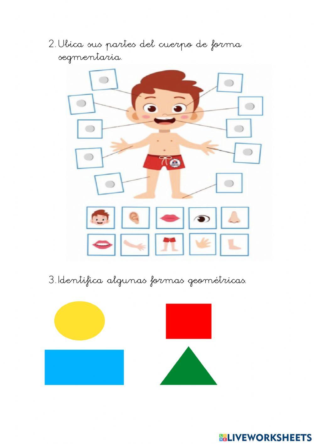 I2 prueba diagnostica inicial