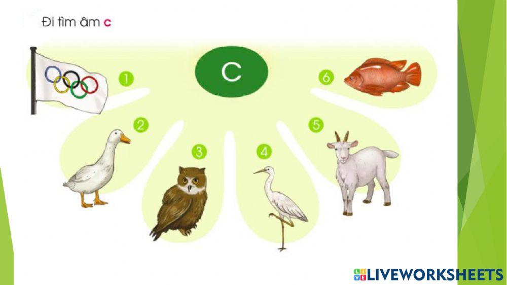 Tiếng Việt: Bài 1: a - c