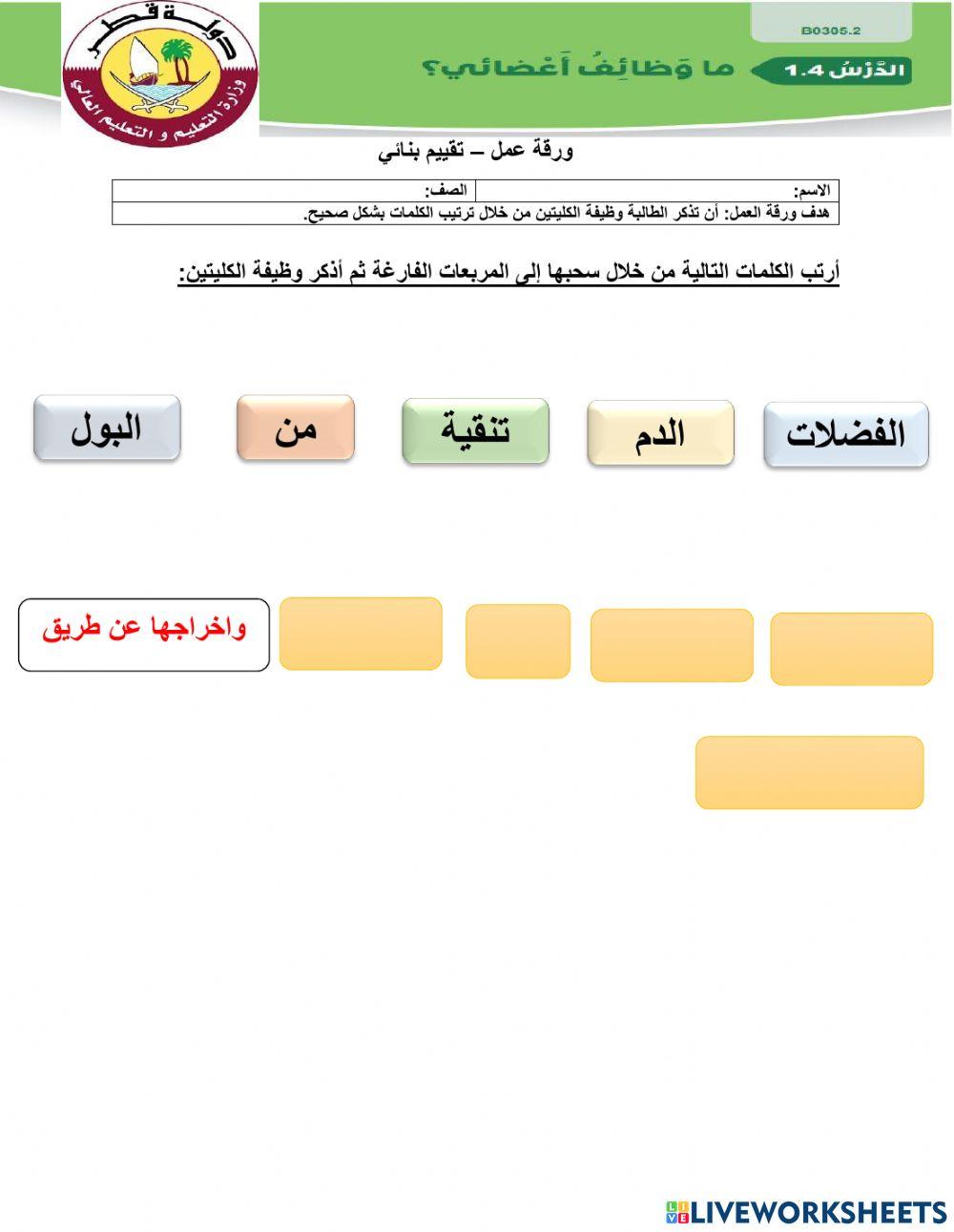 وظيفة الكليتين