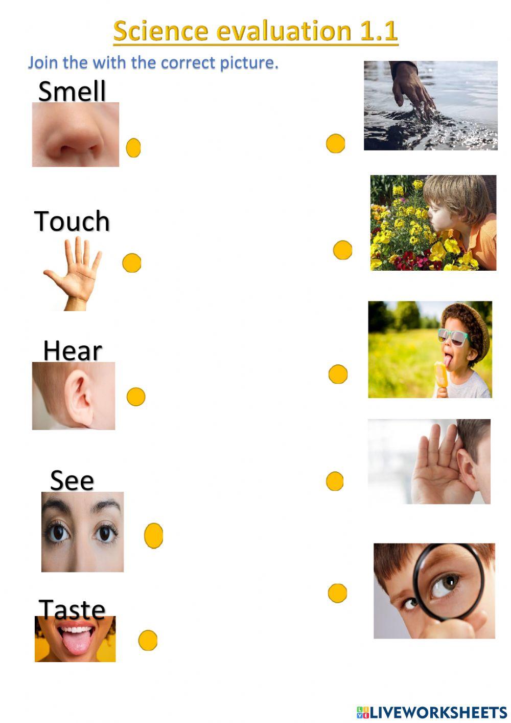 Science evaluation 1.1