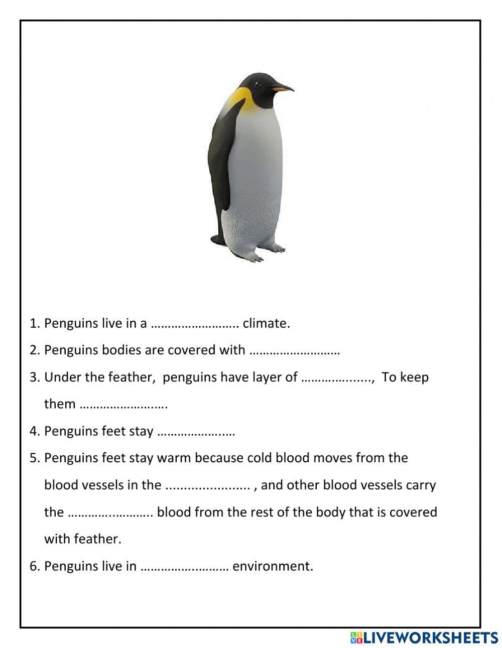 Adaptation in penguins and lizards