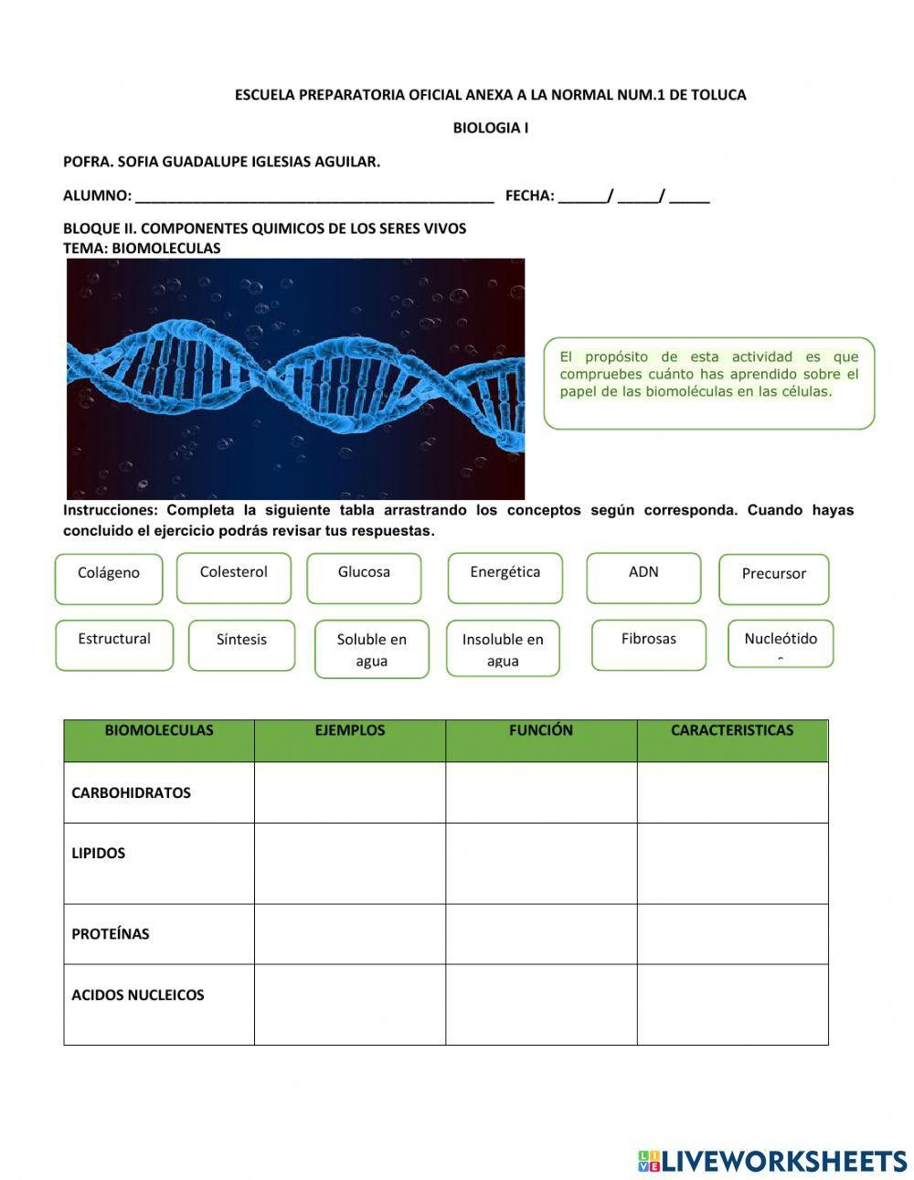 Biomoleculas