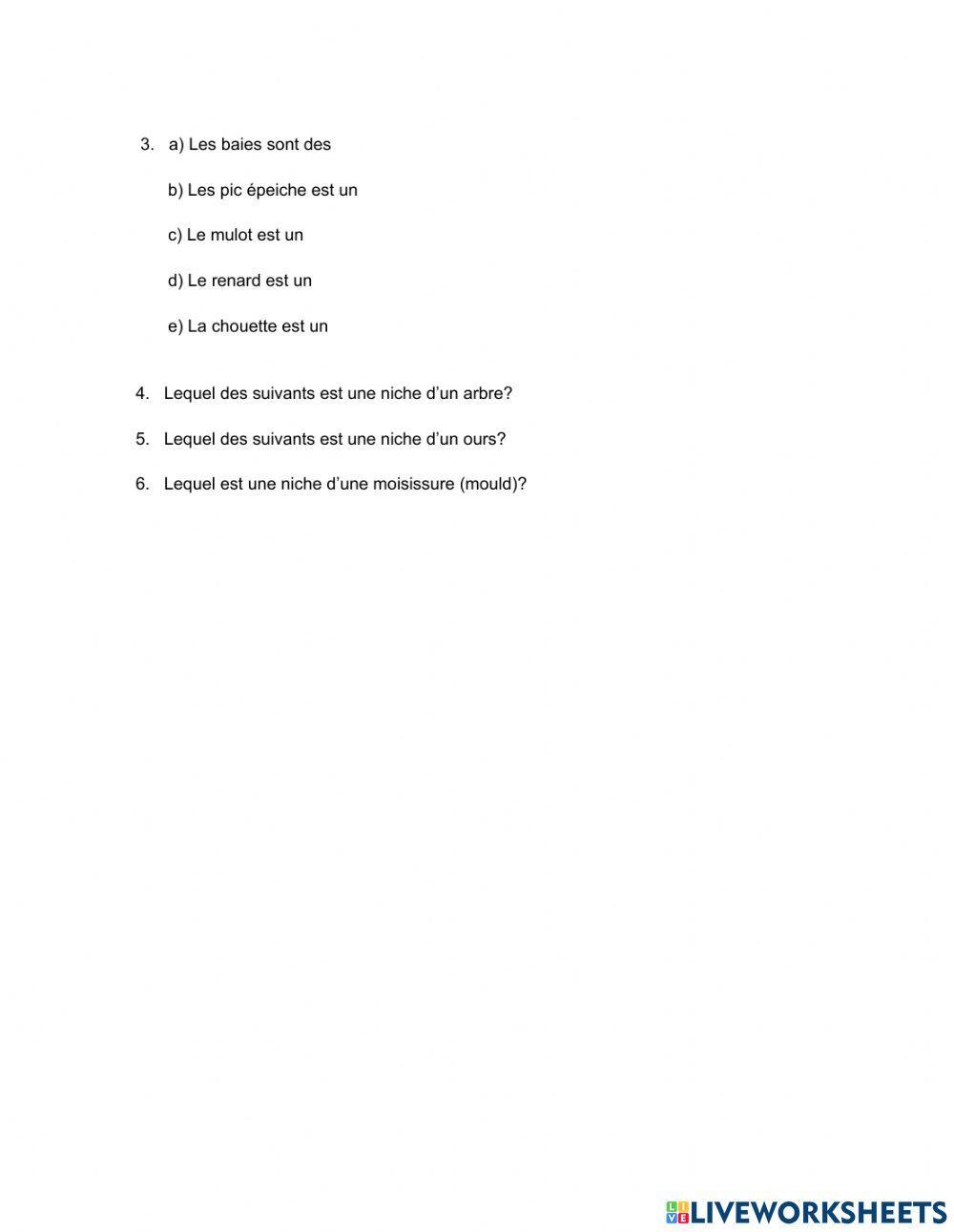 Les composants d'une forêt