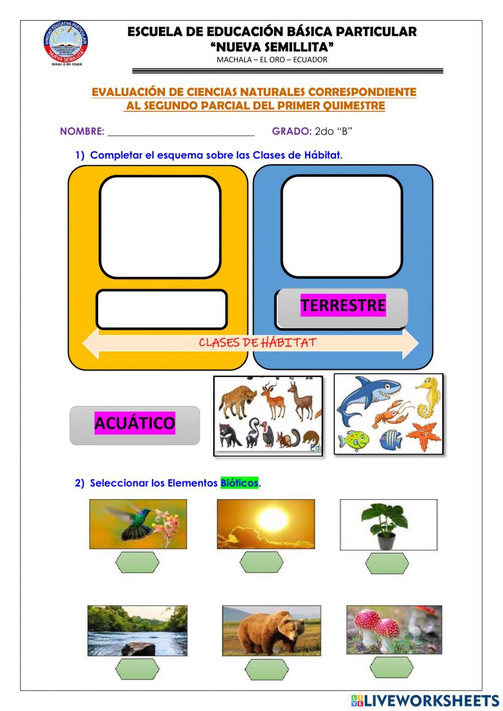 Evaluación de CIENCIAS NATURALES-2DO PARCIAL-1Q