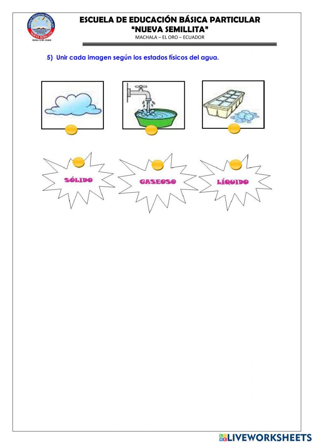 Evaluación de CIENCIAS NATURALES-2DO PARCIAL-1Q