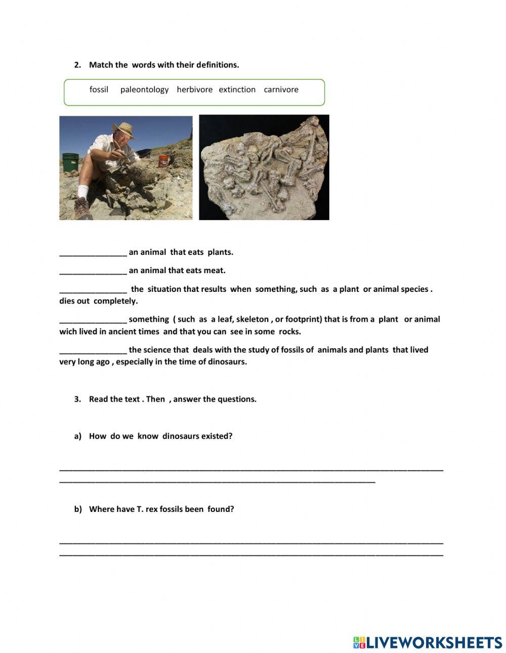 Reading Worksheet 001 7th