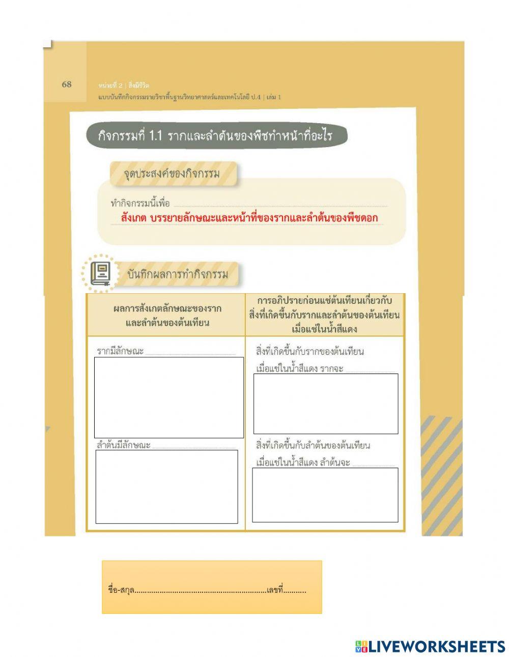 รากเเละลำต้นพืชทำหน้าที่อะไร