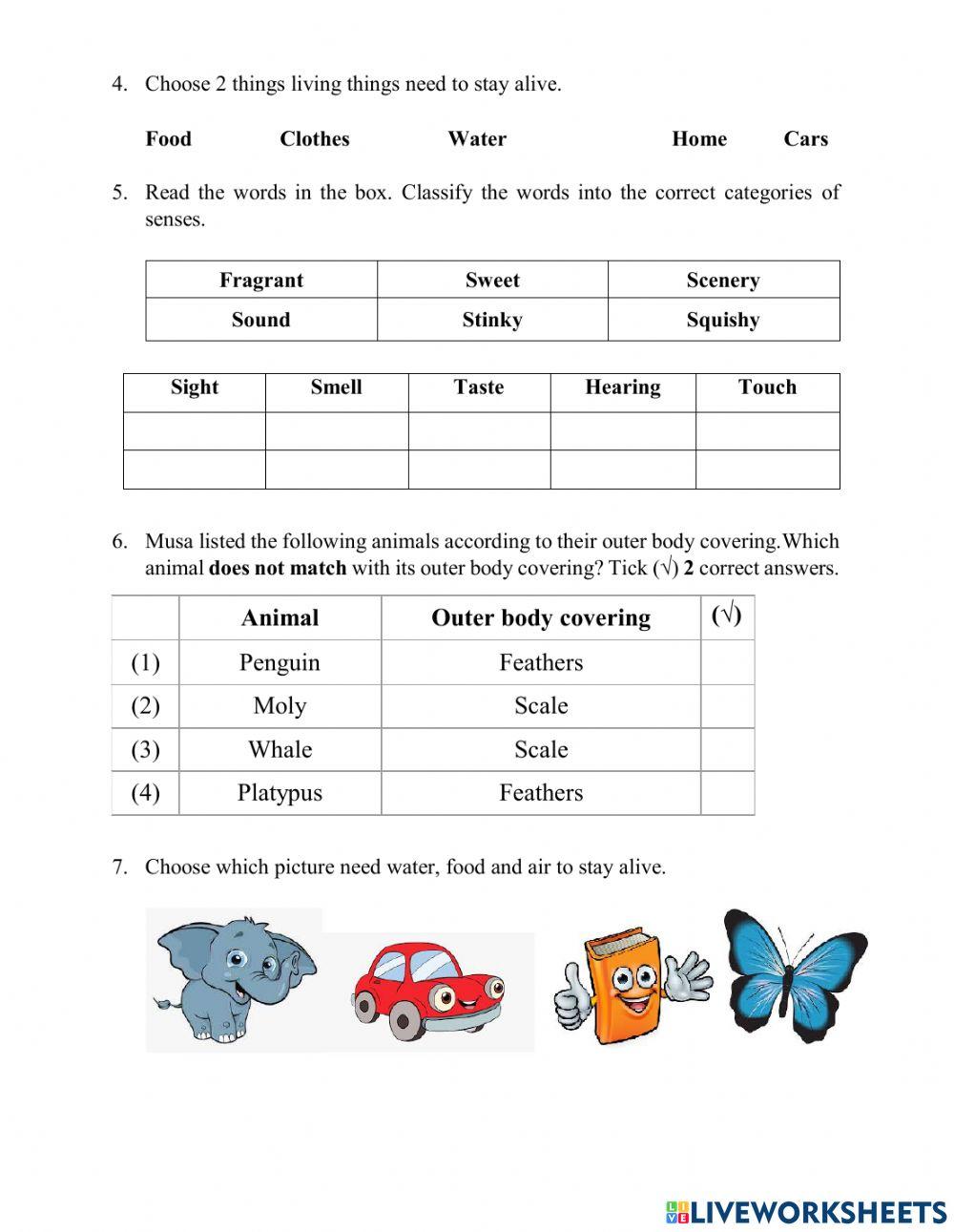 Exercise Review Science newest fix