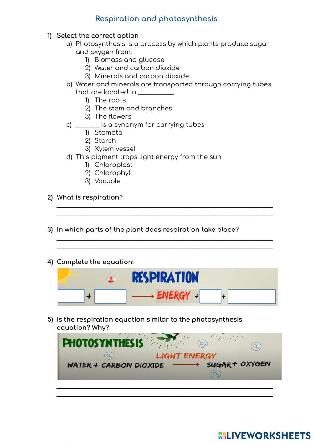 Respiration and photosynthesis